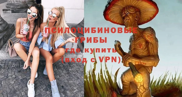 дмт Абаза