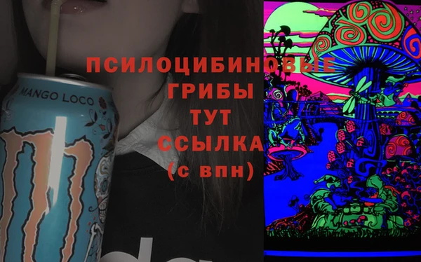 прущие крисы Алзамай