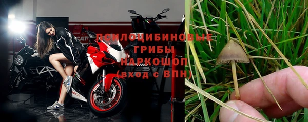 трава Алексин