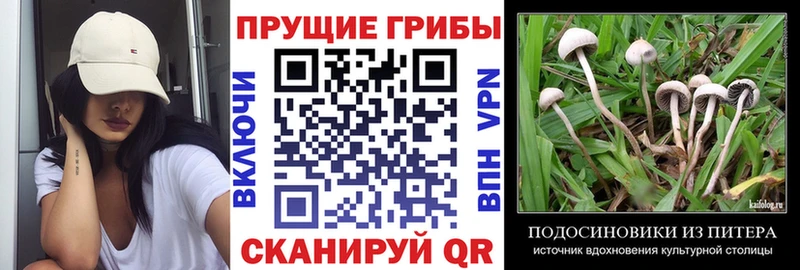 цена наркотик  Мегион  Псилоцибиновые грибы Magic Shrooms 
