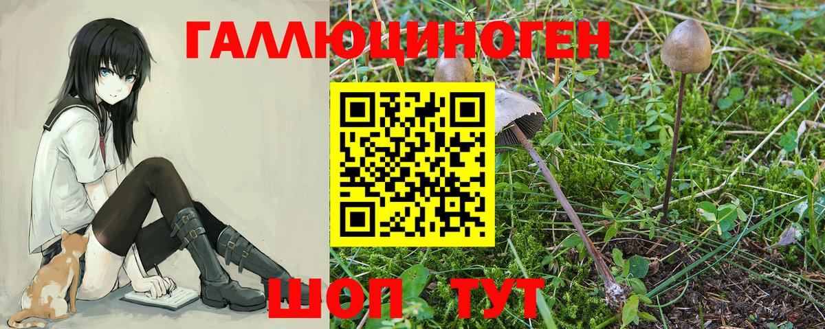 Псилоцибиновые грибы ЛСД  Вход с VPN  Мегион 