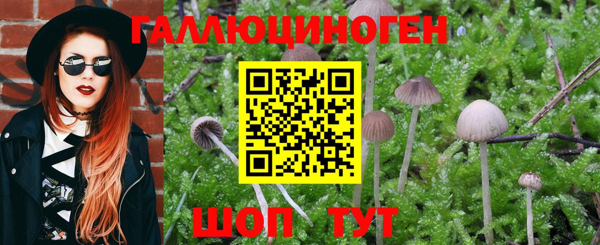 Псилоцибиновые грибы мухоморы Мегион