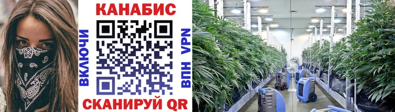 гидра ТОР  где найти   Мегион  Бошки марихуана Ganja 